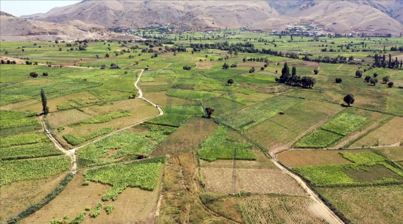 Adıyaman çiftçisinin tütün telaşı başladı