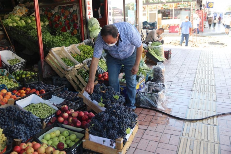 Van'da Urartular'dan miras kalan bağcılık kültürü