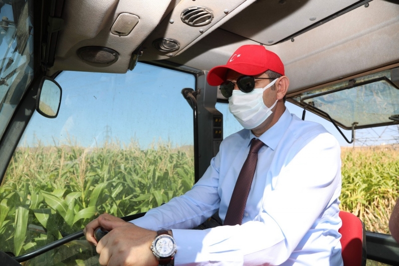 Sivas Canlı Hayvan Pazarı ve Ot Borsası'nın inşası devam ediyor