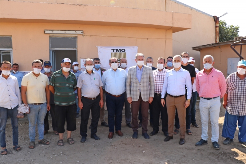 TMO 10 günde 10 bin ton kuru üzüm aldı