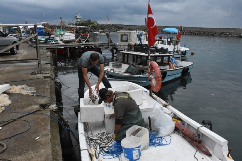 Balıkçılar, palamudun daha da bollaşmasını bekliyor