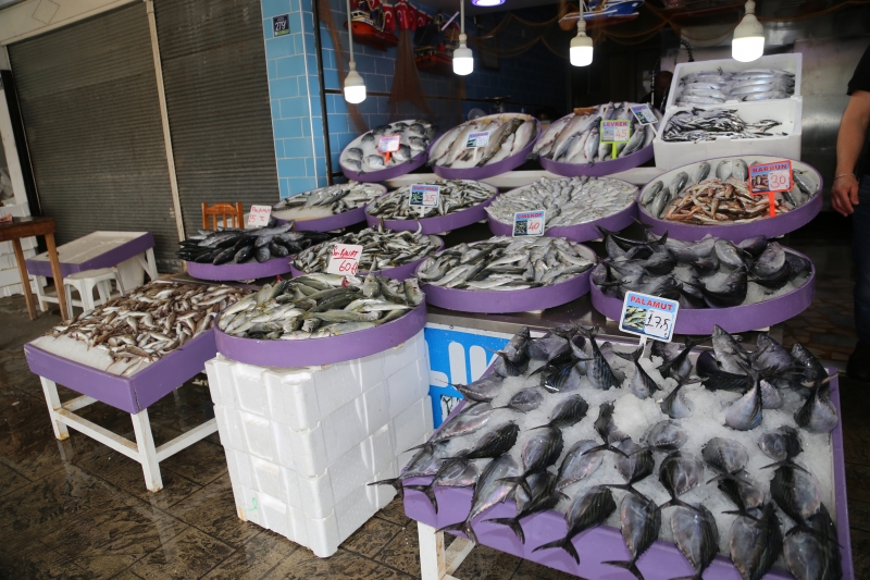  Karadeniz'de oluşan akıntı balık fiyatlarını artırdı
