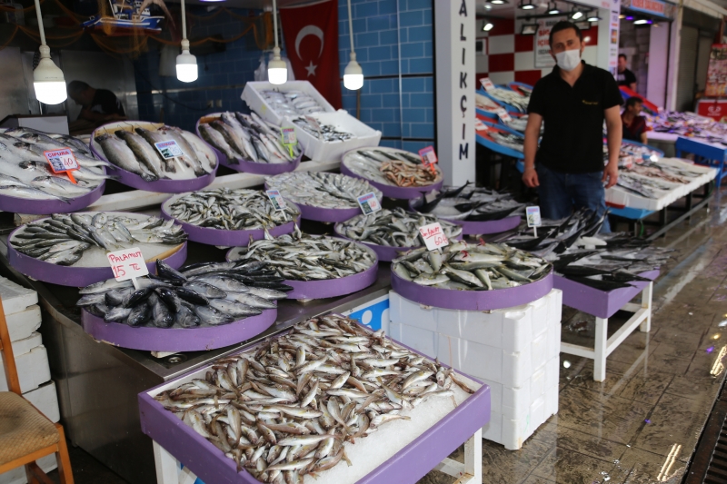  Karadeniz'de oluşan akıntı balık fiyatlarını artırdı