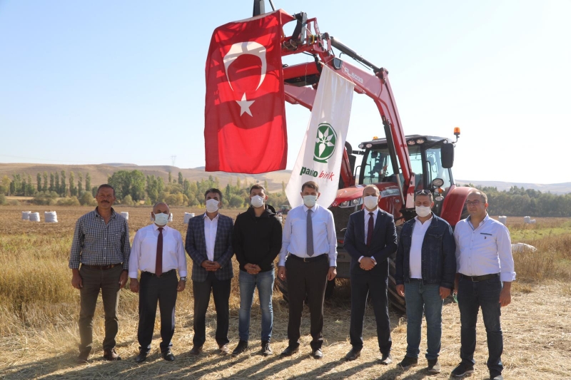  Sivas'ta 350 bin ton patates rekoltesi bekleniyor