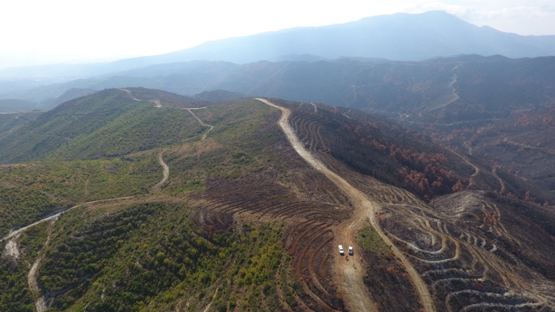  Hatay'daki yangının izlerini silmek için hummalı çalışma