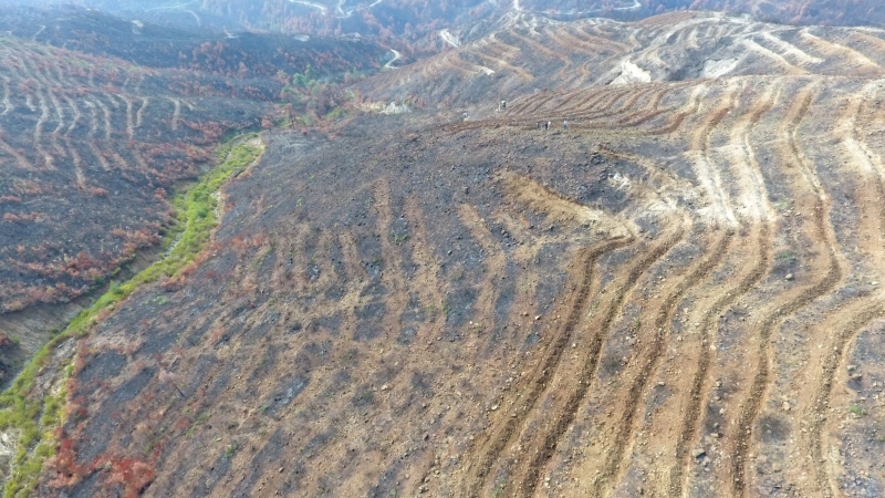  Hatay'daki yangının izlerini silmek için hummalı çalışma