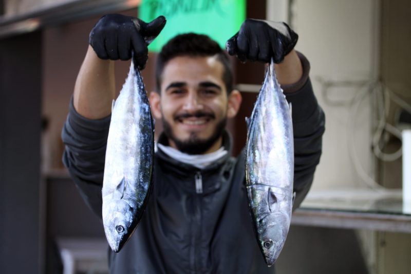  Batı Karadeniz'de palamut sezonu bitiyor