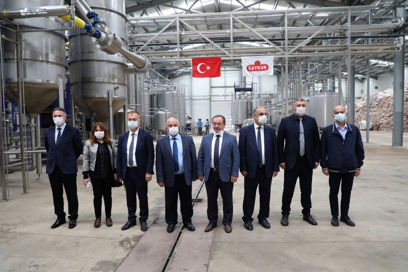  ÇAYKUR çay çöpü ve lifinden yılda 1 ton ekstrakt üretecek