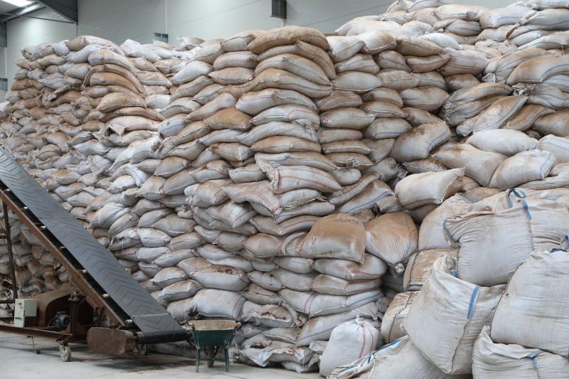  ÇAYKUR çay çöpü ve lifinden yılda 1 ton ekstrakt üretecek