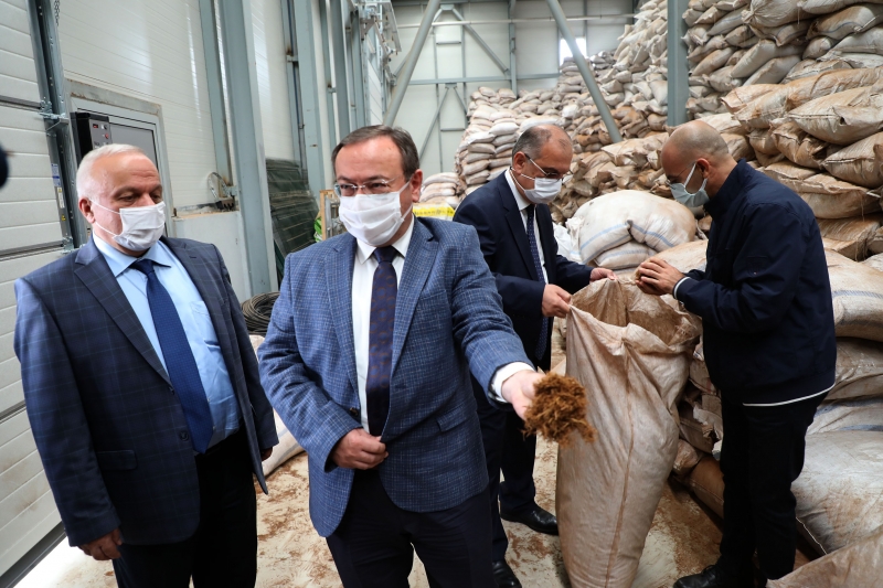  ÇAYKUR çay çöpü ve lifinden yılda 1 ton ekstrakt üretecek
