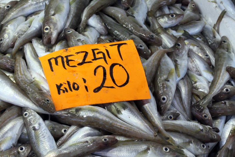  Batı Karadeniz'de palamut sezonu bitiyor