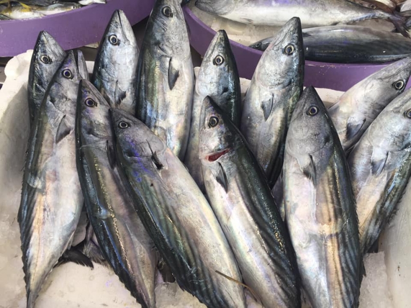 Ordu'da az av ve fazla talep nedeniyle balık fiyatları arttı
