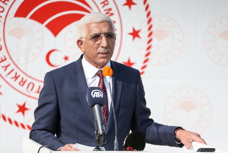 Bursa'da zeytin hasadı başladı