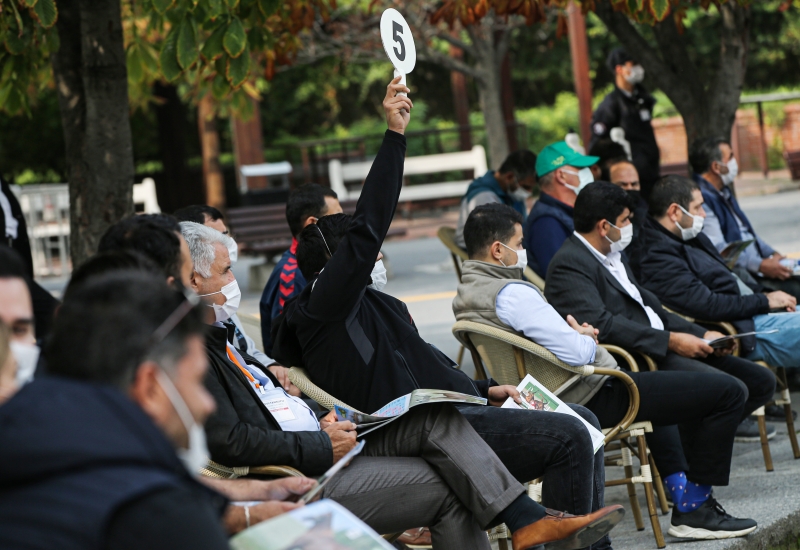  16 elit tayın satışı Veliefendi'de gerçekleştirildi