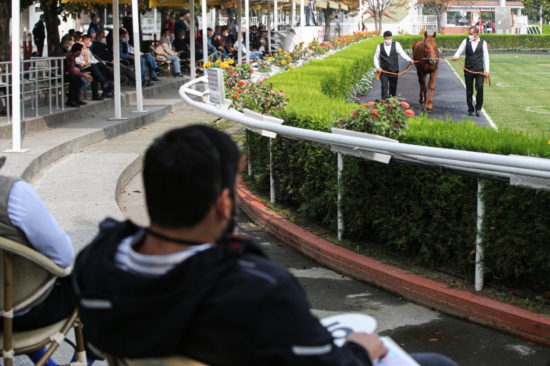  16 elit tayın satışı Veliefendi'de gerçekleştirildi