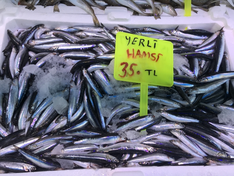 Giresun'da hamsinin kilosu 35 liradan satılıyor