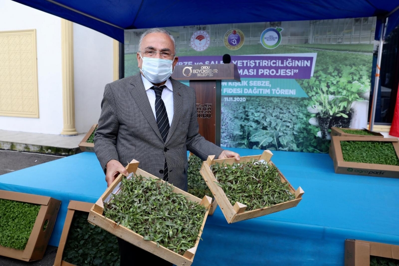  Ordu'da üreticilere 1 milyon kışlık sebze ve 300 bin salep fidesi dağıtıldı