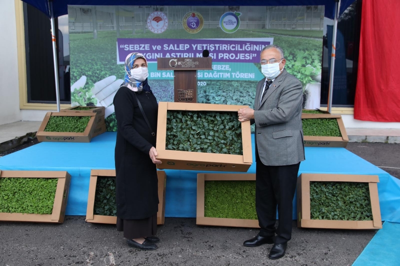  Ordu'da üreticilere 1 milyon kışlık sebze ve 300 bin salep fidesi dağıtıldı