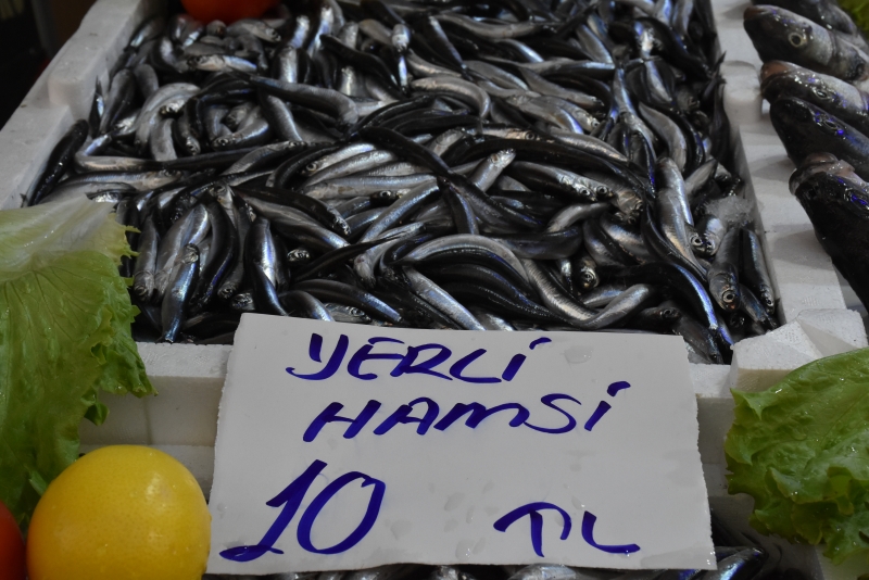 Ordu'da kilogram fiyatı 10 liraya düşen hamsiye yoğun ilgi