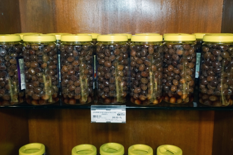 Balıkesir'de zeytin üreticilerinin 