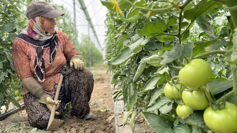 Antalya üretiminde Türkiye'nin lideri