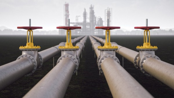 AfD, Nord Stream İçin Gizli Zirve Düzenliyor