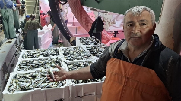 Sinop'ta denize açılan balıkçılar yüzlerce kasa balıkla limana döndü